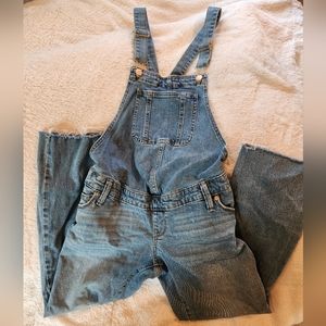 Maturnity overalls